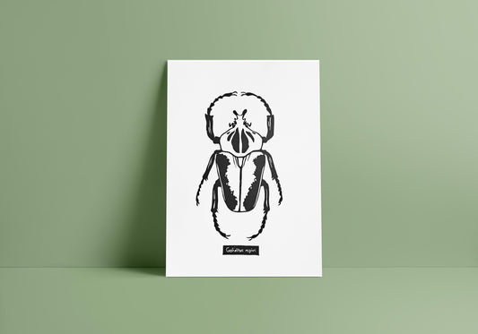 Linogravure scarabée goliathus orientalis - édition limitée 50 exemplaires - insecte illustration affiche décoration cadeau - tirage d'art