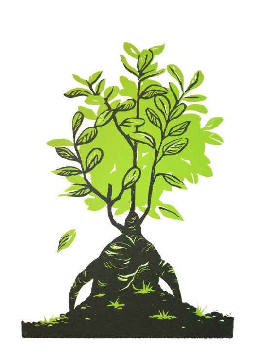 Linogravure végétale ficus ginseng, édition limitée 8 ex.