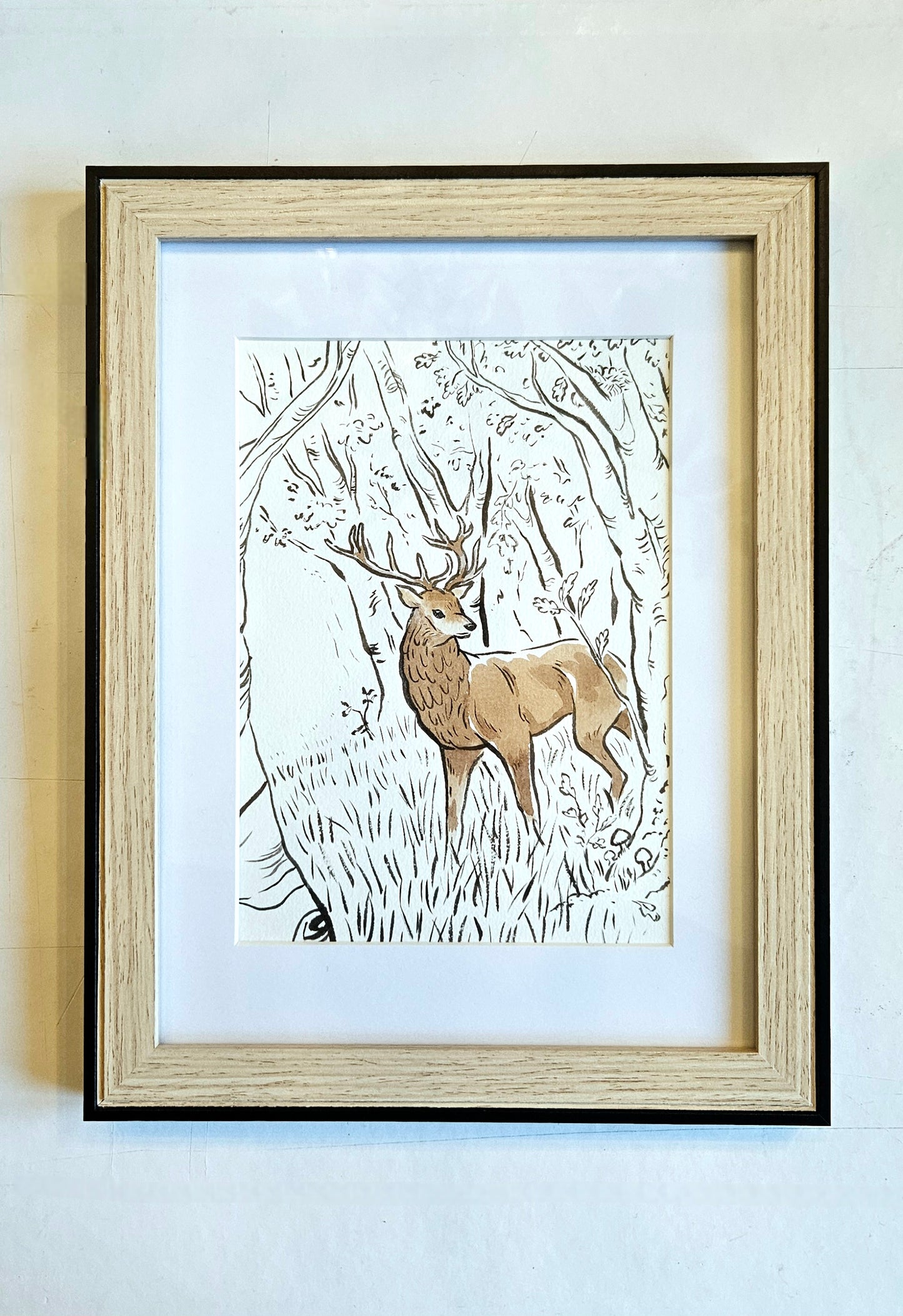 Le cerf dans la forêt