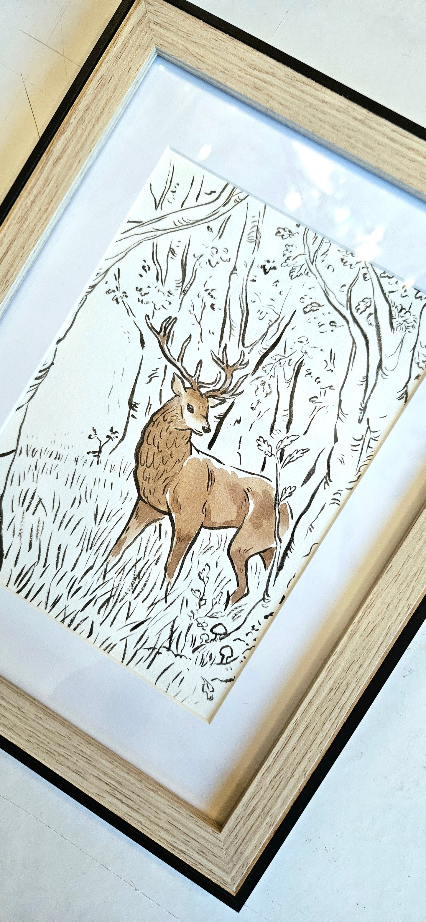 Le cerf dans la forêt