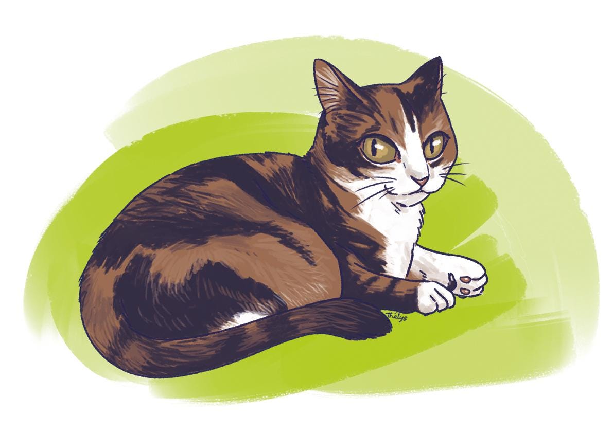 Portrait de famille personnalisé - style BD - numérique, illustration personnalisée, photo personnalisée, portrait dessiné, cadeau, cartoon