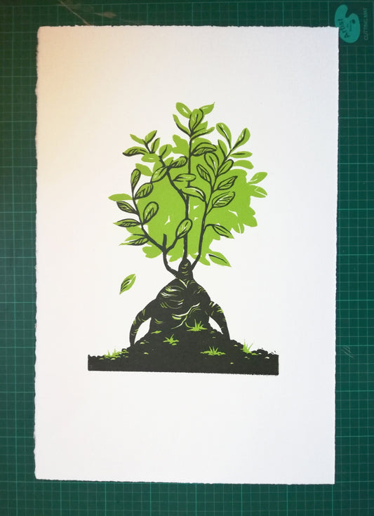 Linogravure végétale ficus ginseng, édition limitée 8 ex.